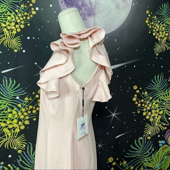 Calvin Klein Dress    - Picture 10 of 10